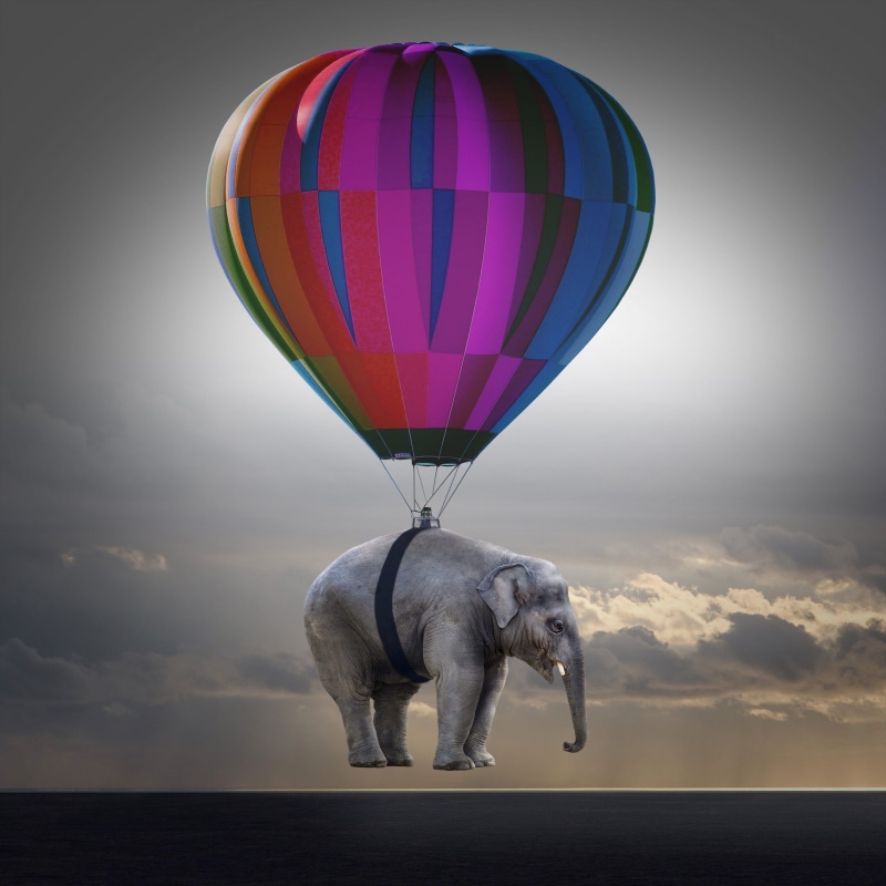 standing, adventure, moon, animal, horizon over water, hot air balloon ride, mammal, hot air balloon, air, fantasy, moonlight, water, gray, romance, mystical