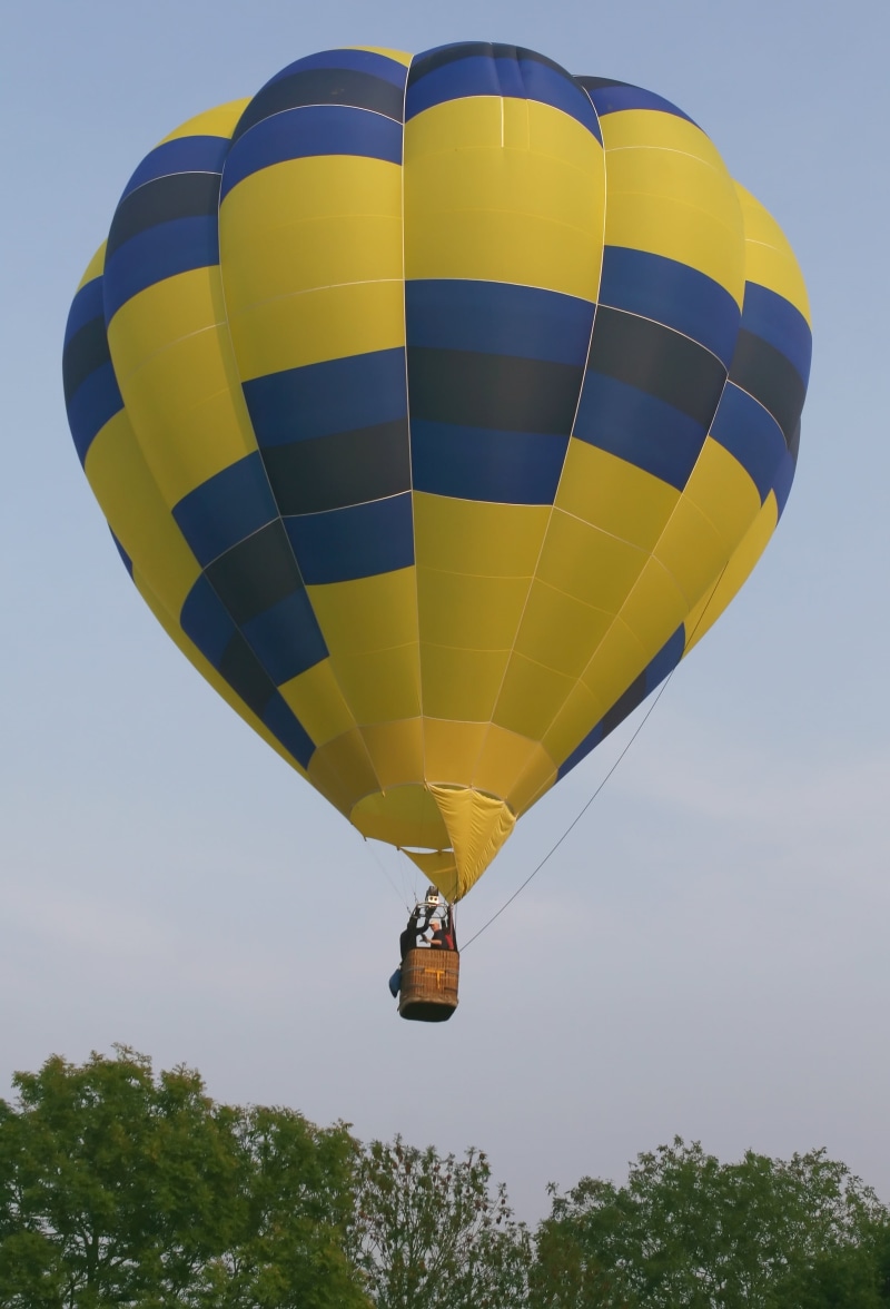 fun, wind, drift, air, safe, transport, pilot, freedom, air Vehicle, parachute, tree, flame, aerospace, down, ball, sport, plant, basket, fly, hotair, ascend