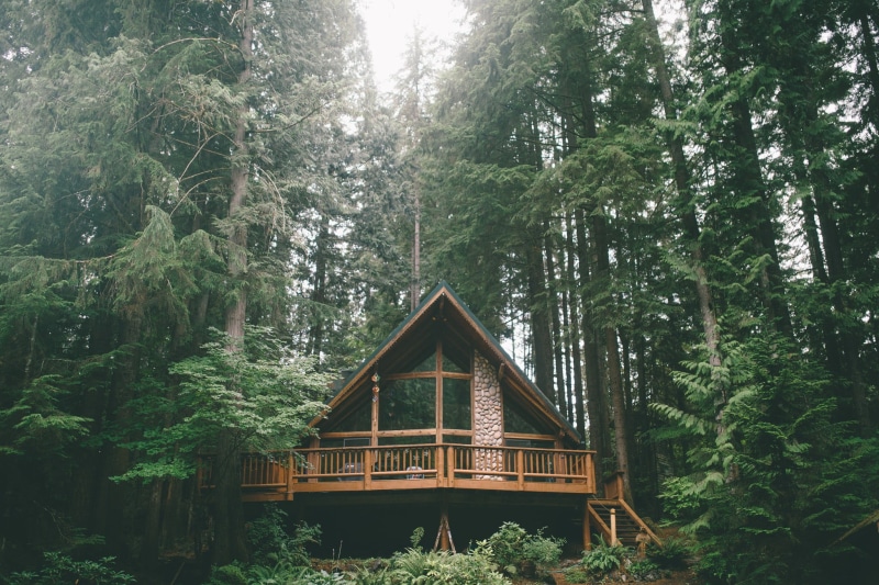 forest, cabin, tranquility, architecture, house, growth, cottage, wooden, green color, idyllic, outdoors, land, trees, beauty in nature, brown, built structure