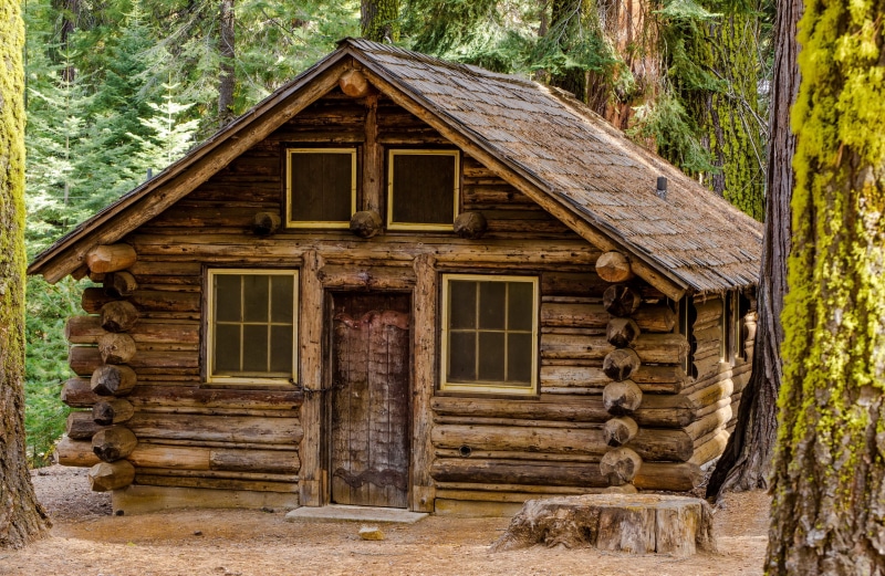 chalet, old-fashioned, wooden, non-Urban Scene, abandoned, rustic, hut, cottage, window, entrance, plant, wood, forest, log, door, trees, day, village