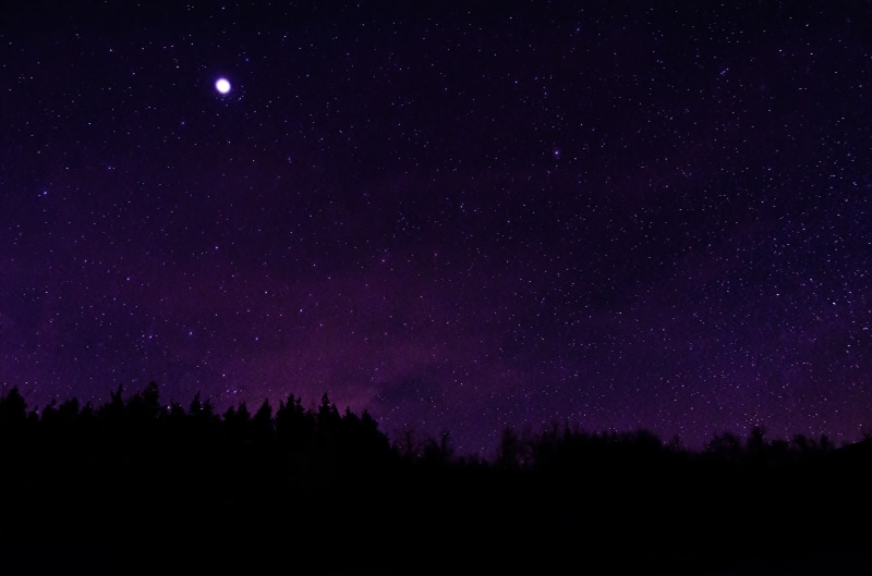 4K, tree, plant, purple, scenics - nature, sky, nature, stars, space and astronomy, constellation, silhouette, space, low angle view, infinity, night