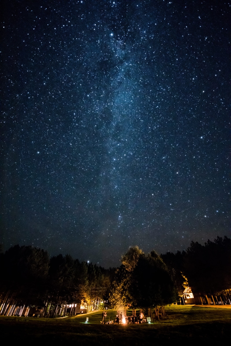 travel, night, tree, space, galaxy, nature, adventure, blue, scenics, long Exposure, starry, astronomy, camping, star Shape, light - Natural Phenomenon