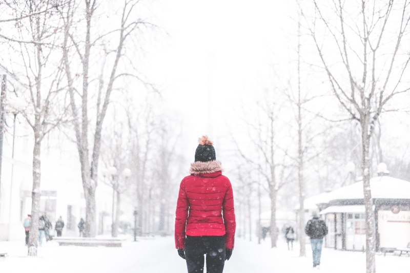 walking, snowing, leisure activity, one Person, winter, rear view, caucasian Ethnicity, Woman, extreme weather, cold - Temperature, people, white, tree