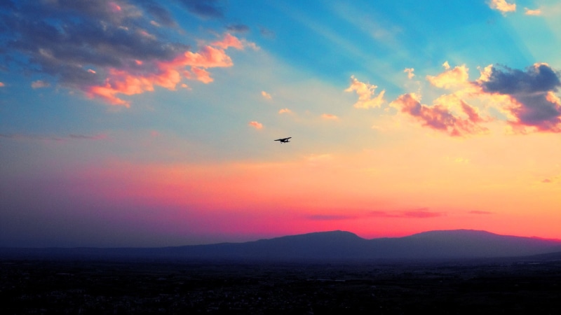 sunrise - Dawn, yellow, sunset, bird, tranquil Scene, animals in the wild, orange Color, sky, one animal, hour, silhouette, nature, animal wildlife, flying