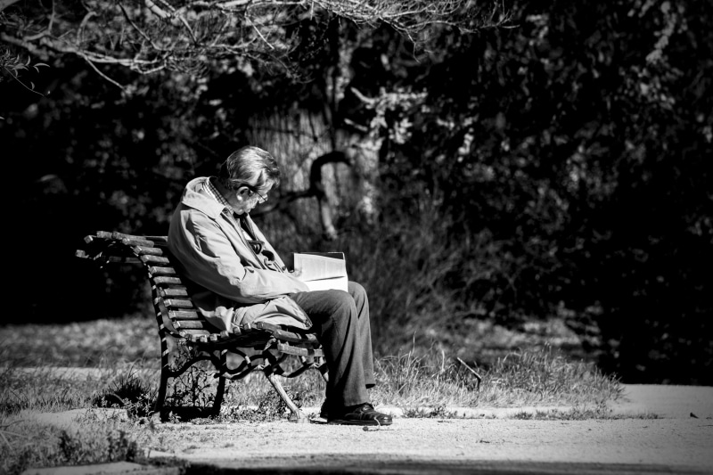 one person, leaves, mindfulness, stolen, garden, chair, man, love, romance, loneliness, sitting, 5K, men, plant, senior adult, light, day, senior men