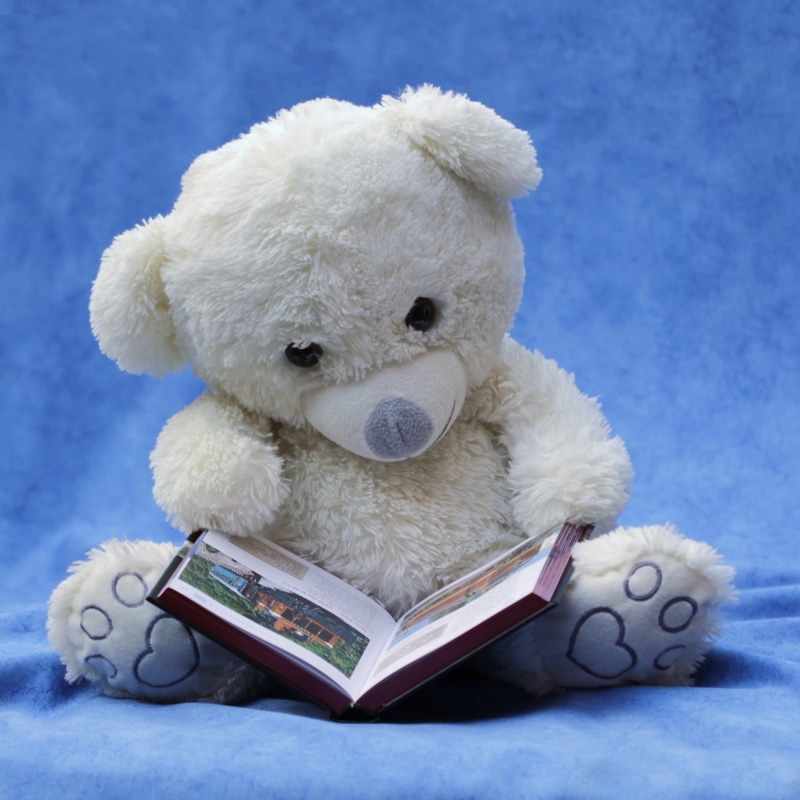 blue, toy, read, animal, bear, 1080P, representation, white, teddy Bear, mammal, softness, indoors, white color, brown, background blue, publication, innocence