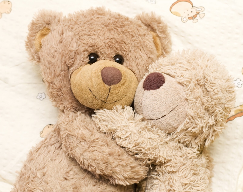 love, playful, gift, representation, indoors, bear, healthcare and medicine, single Object, two, cute, bears, softness, white, backgrounds, doll, teddy bears