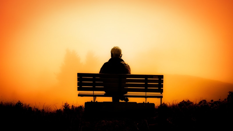 plant, outdoors, yellow, sky, nature, desktop background, women, idyllic, park bench, lifestyles, rest, seat, solitude, sitting, orange color, sunset, outdoor