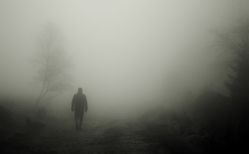 weird, hiking, go, forest, lonely, walking, rear view, nature, mood, nightmare, creepy, horrible, plant, winter, environment, vennlandschaft, moor, grey