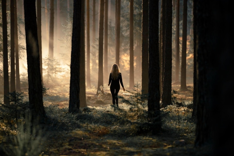 outdoors, nature, 1080P, one Person, tranquil Scene, trunk, autumn, beautiful, shrubs, atmosphere, brown, depression - sadness, beauty, mystery, woodland