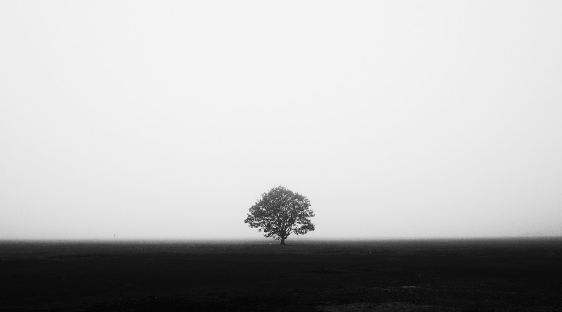 tranquil scene, nature, non-urban scene, black, landscape, trees, photo, photography, simple, solitude, copy space, symmetry, tree, outdoors, plant, scenics - nature