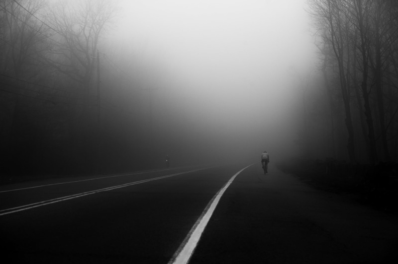 tree, marking, day, direction, solitude, the way forward, transportation, photo, road marking, unrecognizable person, diminishing perspective, symbol, nature