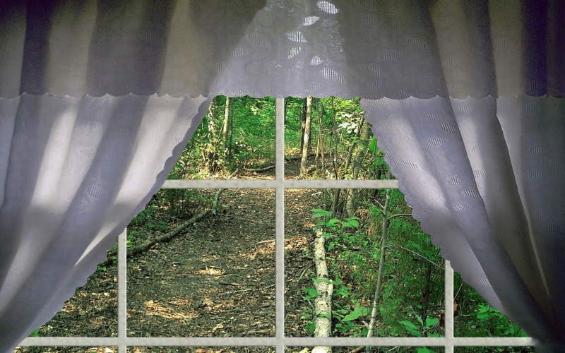 protection, plant, textile, hanging, bamboo - plant, outdoors, nature, security, no people, green color, window, day, pattern, architecture, field, built structure