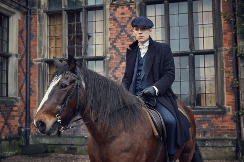 domestic animals, animal wildlife, one animal, TV Show, men, one person, working animal, livestock, Peaky Blinders, day, herbivorous, Horse, activity, 1080P