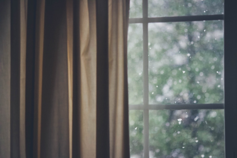 focus on foreground, table lamp, window, sliding door, transparent, french door, tree, framed, security, indoors, no people, shower curtain, khaki, white