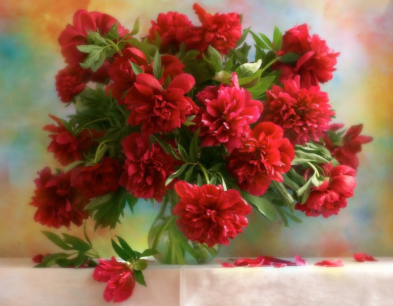 flower, leaf, bunch of flowers, flower Head, close-up, multi Colored, vibrant Color, rose - Flower, springtime, plant part, freshness, flower pot, backgrounds