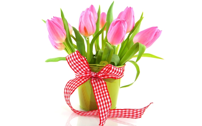 Tulips, Ribbon, Fresh, Pink, Vase, 2K, Flowers