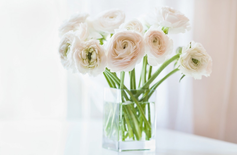 flower, flowers, white, rose - flower, no people, freshness, white color, vulnerability, fragility, plant, vase, 4K, table, Asian, rose, peony, close-up