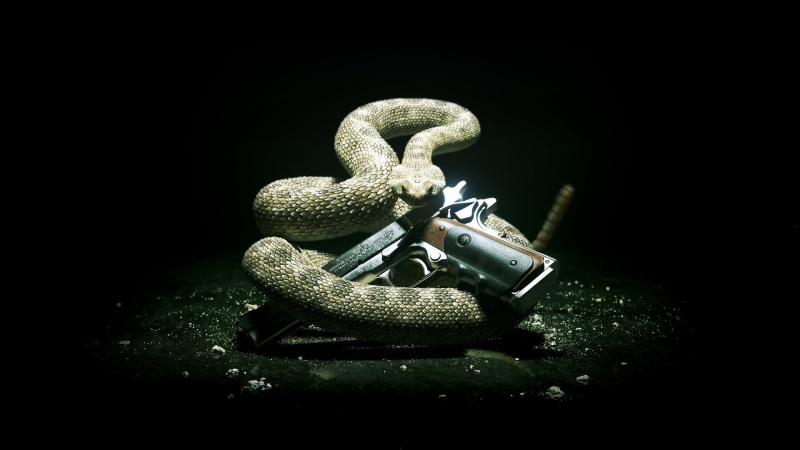 communication, old, studio Shot, crime, backgrounds, black Color, retro Styled, dark, poisonous, snake, brown, indoors, green color, night, Hitman 5, metal