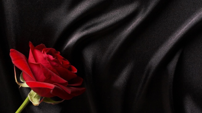 rose, flowers, 1920x1080, 1080P, red, silk, black