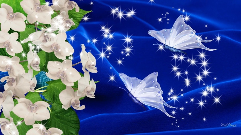 stars, 3d and abstract, silk butterflies, flowers, elegant, butterflies, orchids, blue, silk, delicate, 1080P, velvet, blue velvet