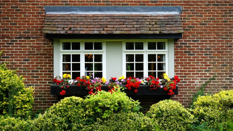 dwelling, beauty in nature, roof, window, flowers, apartment, freshness, green, wood, built structure, architecture, housing, exterior home, sony a7, plant