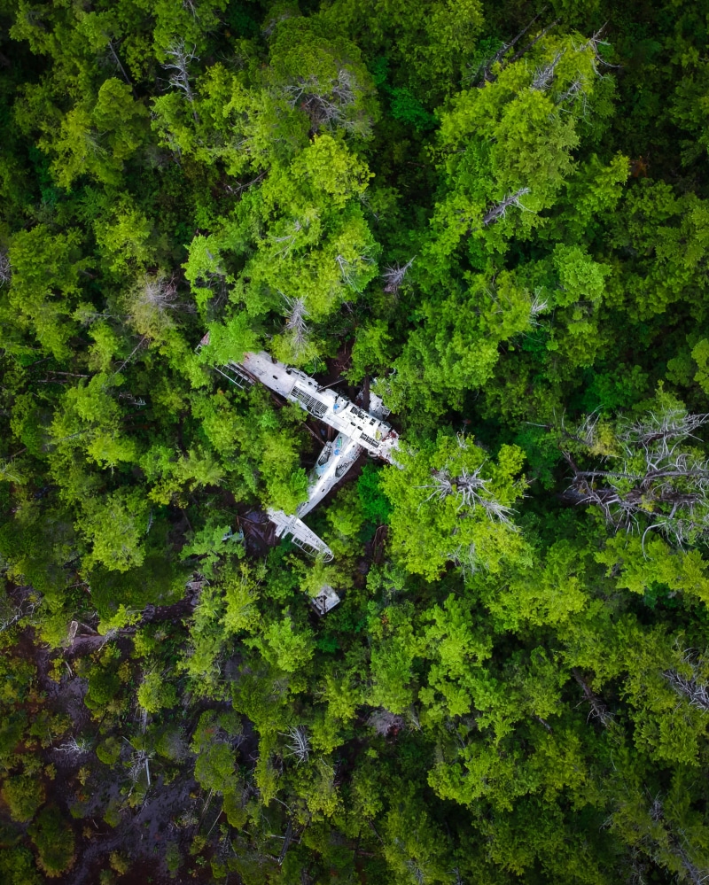 aircraft, hike, cross, aerial, plane, looking down, ww2, airplane, crash, war, forest, drone, abandoned, aerial view, christianity, aeroplane, woodland