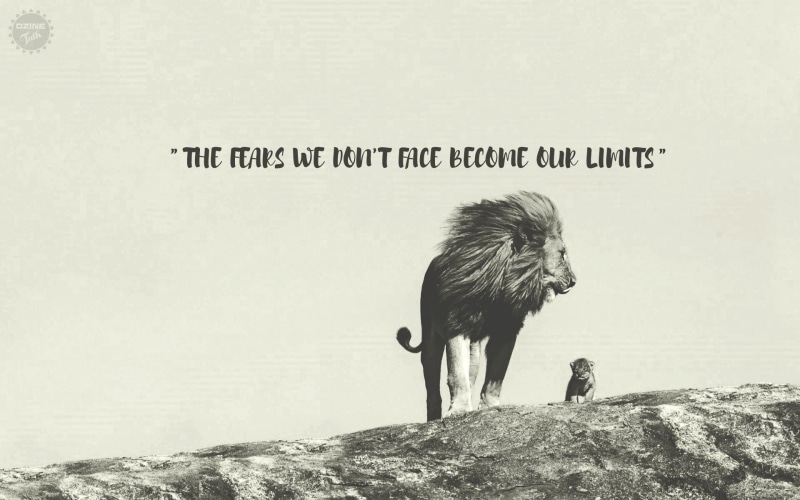 colorful, cubs, rock - object, white, western script, black, nature, cub, rock, bulls, animal wildlife, bird, Bull, text, day, motivational, animals in the wild