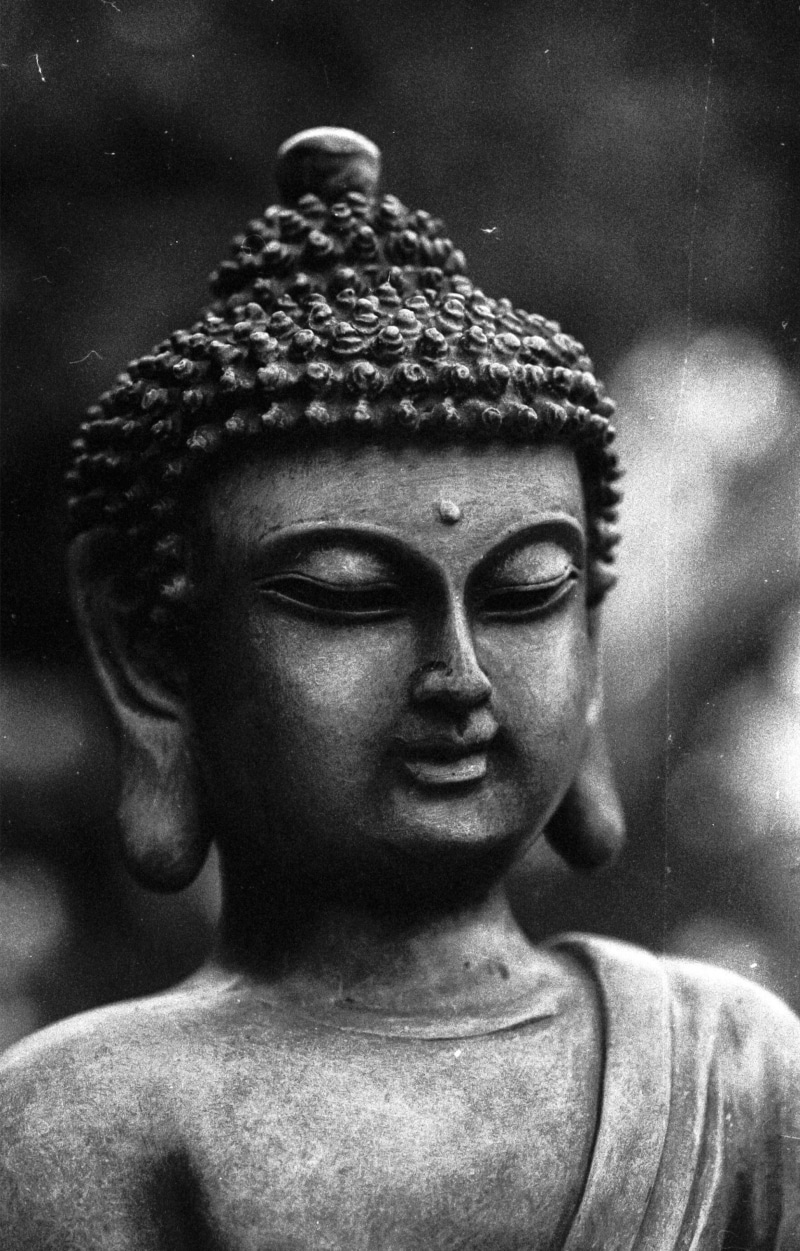 people, creativity, smiling, closed, young adult, religion, indoors, lifestyles, focus on foreground, paint, Gautama Buddha, face paint, gautama, mouth open