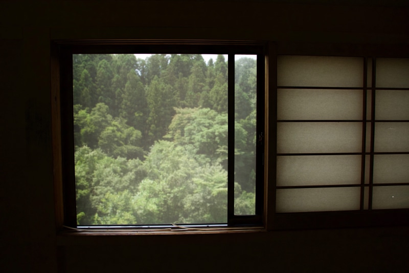 plant, nature, day, japanese Ethnicity, no people, green color, Frame, 5K, window frame, japanese Culture, japan, forest, built structure, indoors, pouring