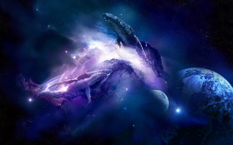 whale, space, 1080P