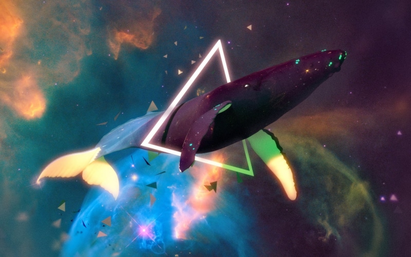 whale, space, fantasy art, 1080P, digital art
