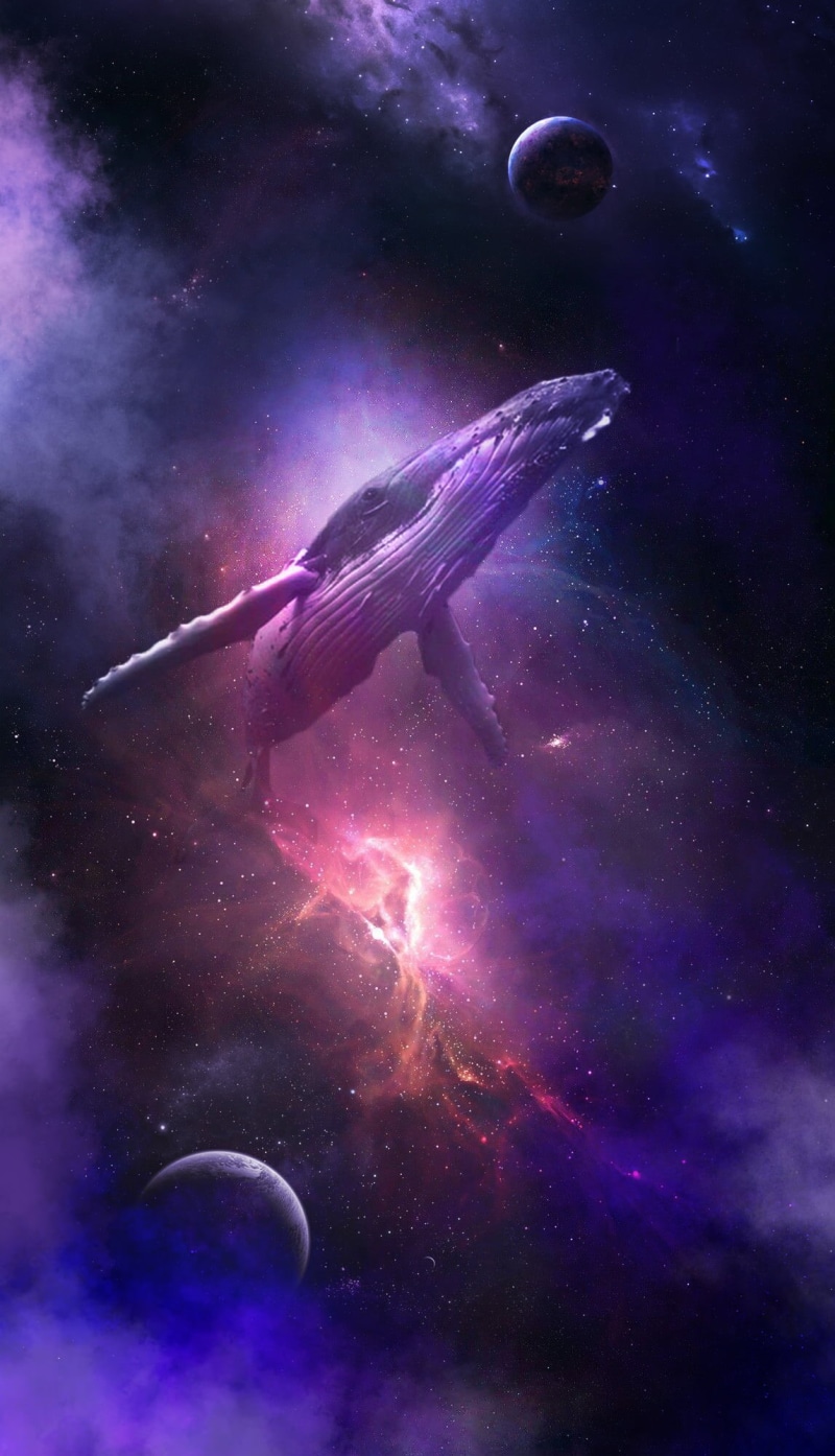 space, whale, 1080P