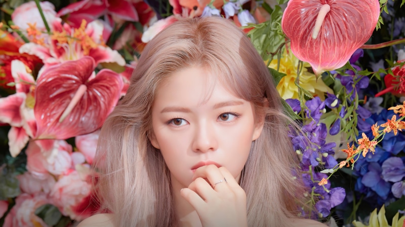 4K, flowers, Asian, dyed hair, Twice JeongYeon, women, singer