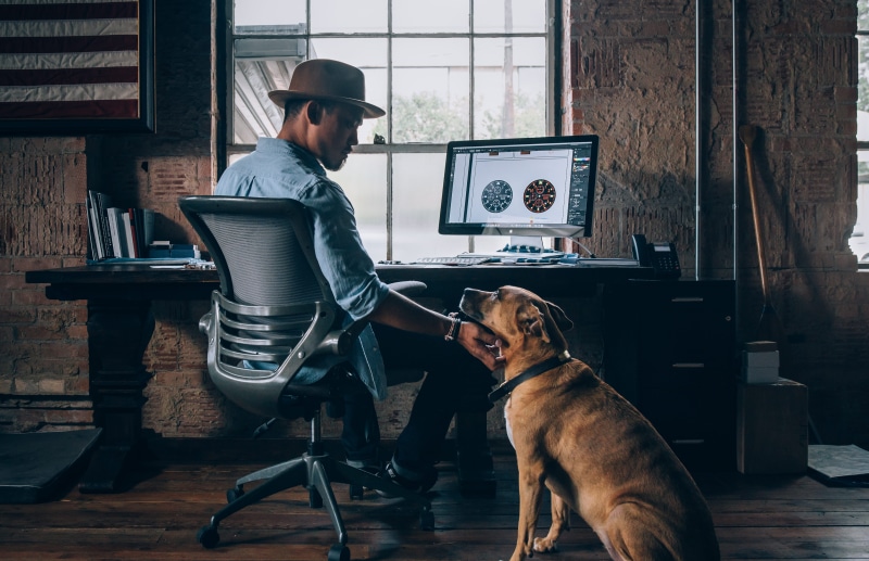 imac, denim, mans best friend, apple, people, males, casual Clothing, 4K, caucasian Ethnicity, dog, professional Occupation, desk, chair, daytime, man