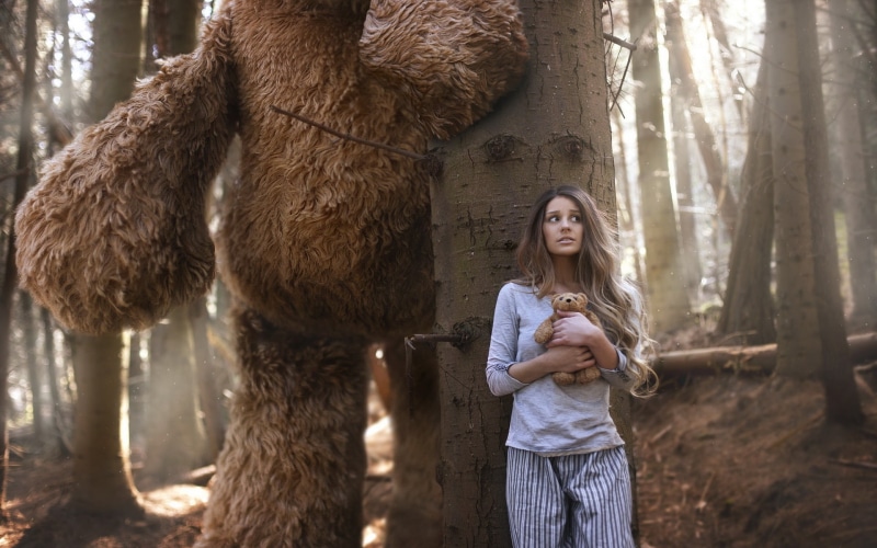 Girl, women, Bear, sweatshirt, stripe, gray, Big, 1080P, pajama, Toy, s, Forest