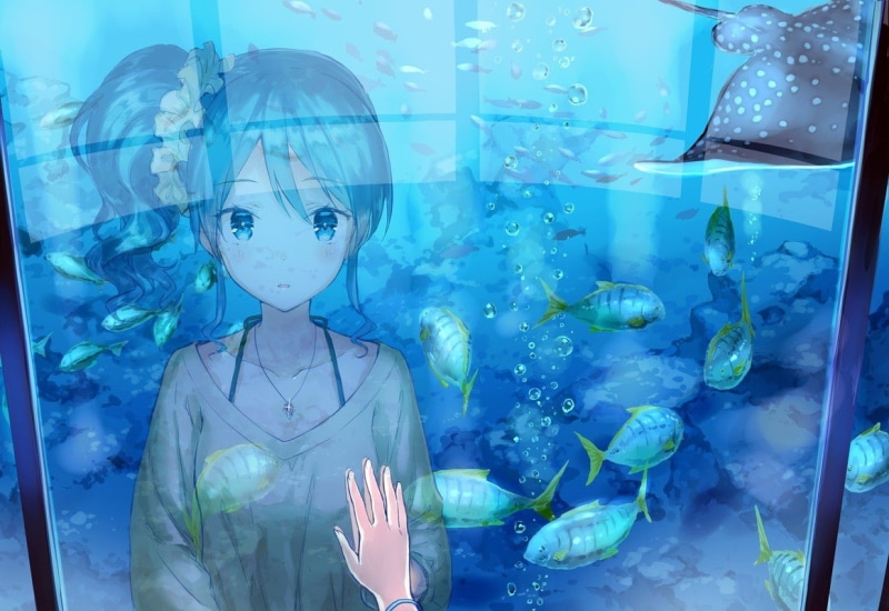 fish, Aikatsu, aquarium, 480P, Kiriya Aoi