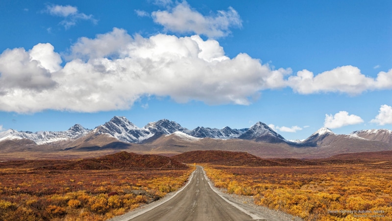 highway, denali, 2K, alaska, National Parks, autumn