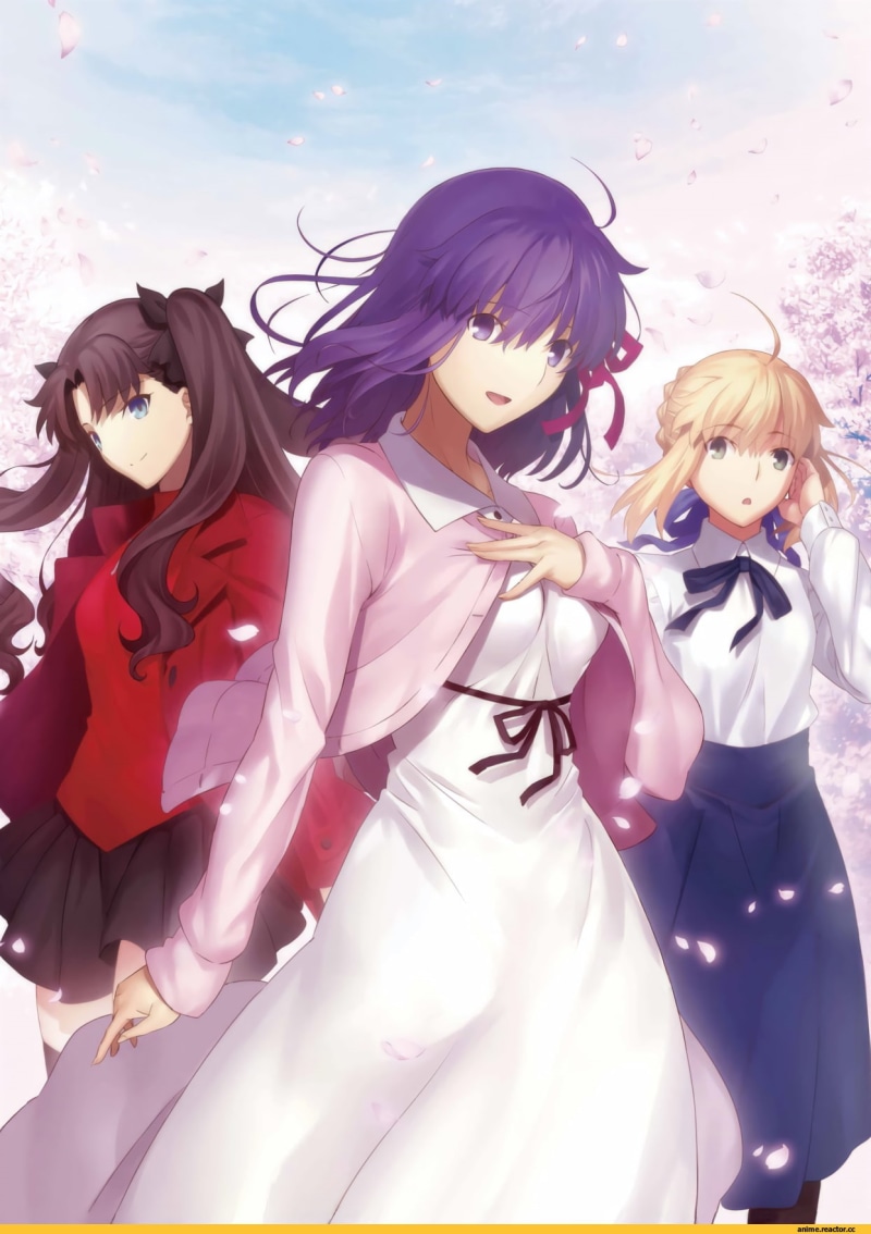 hairstyle, Matou Sakura, Sakura Matou, standing, front view, people, Fate/Stay Night, lifestyles, day, Saber, group of people, females, anime girls, adult