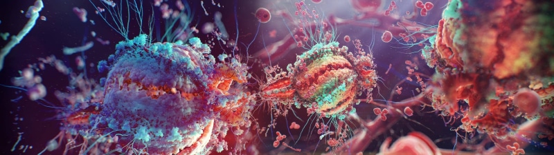 4K, nature, event, underwater, virus, water, close-up, genetics, animal wildlife, food, selective focus, outdoors, psychedelic, marine, biology, undersea
