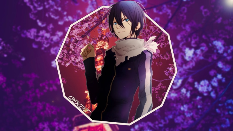 purple, 1080P, Yato (Noragami), women, outdoors, flowering plant, focus on foreground, two people, front view, young adult, nature, three quarter length