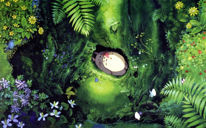 tree, lies, lake, beauty in nature, high angle view, floating on water, Nora, growth, plant part, floating, branch, leaf, nature, freshness, flowers, green Color