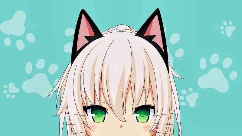 nekomimi, studio shot, outdoors, green eyes, Shachi Yuuri, front view, pattern, sunglasses, art and craft, no people, nature, blue background, close-up