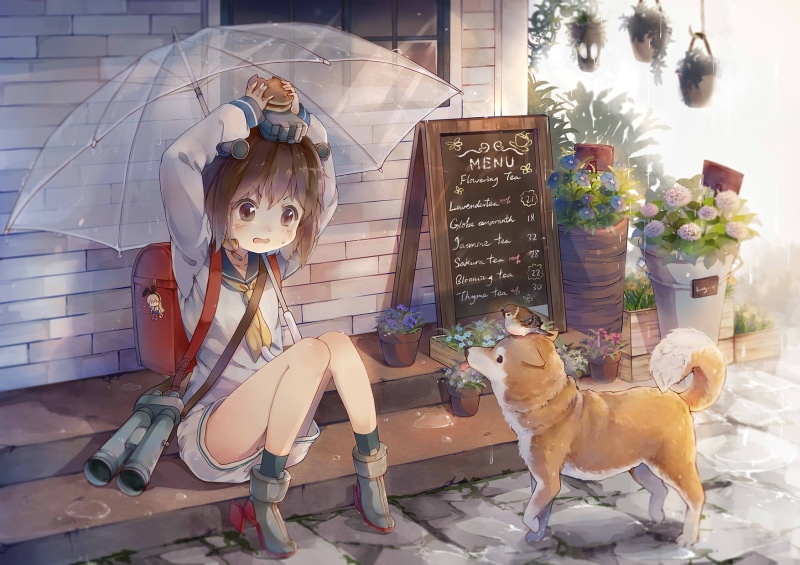 umbrella, portrait, girl, girls, domestic, schoolgirl, dog, childhood, mammal, women, holding, sitting, 720P, one animal, child, day, hair ornament, loli