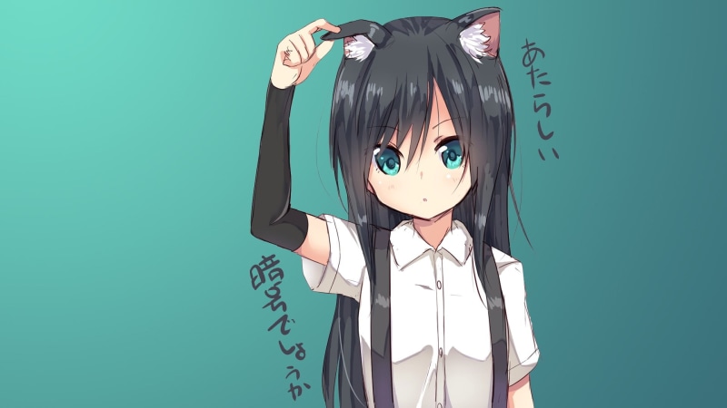 one person, waist up, holding, Neko Works, anime girls, long hair, art and craft, studio shot, human face, standing, hairstyle, nekomimi, representation