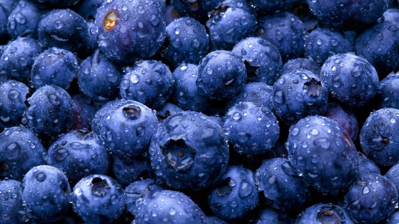 organic, vineyard, fresh, raspberry, wet, food, ripe, diet, berry, vitamin, no people, purple, vine, dessert, juicy, heap, grapes, bunch, berries, close-up
