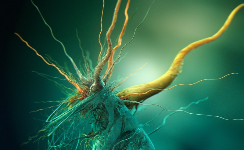 beauty in nature, Artistic, focus on foreground, nvart, nvidia art, growth of cubic bacteria, 2K, plant part, power in nature, tree, plant, 3d growth of cubic bacteria