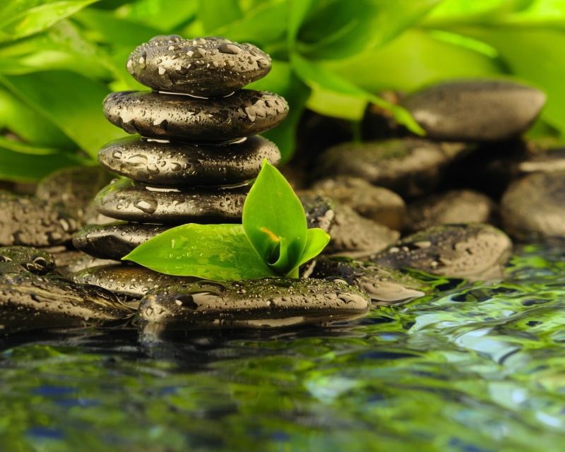 water, drops, stones, wet, hd, leaves, zen, rocks, 720P, nature