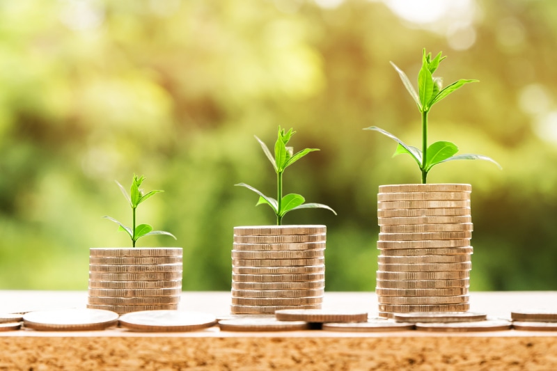 market, symbol, growth, business, wealth, healthcare and medicine, profit, growing, accounting, bank, green color, leaf, money, hand, sapling, 4K, coins