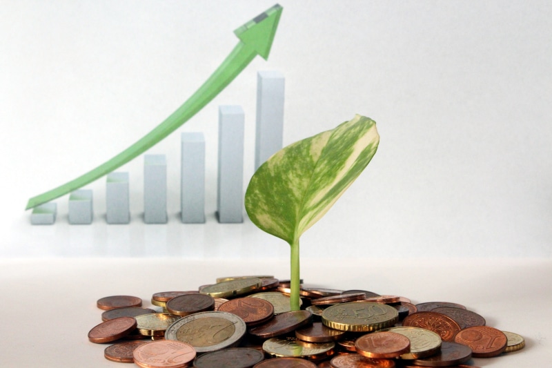 leaf, success, making Money, green Color, industry, chart, coins, money, plant, assorted, green, market, green leaf, no people, team, profit, investment